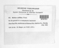 Image Associated With the Occurence